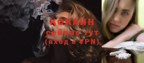 гашик Наволоки