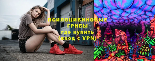 гашик Наволоки