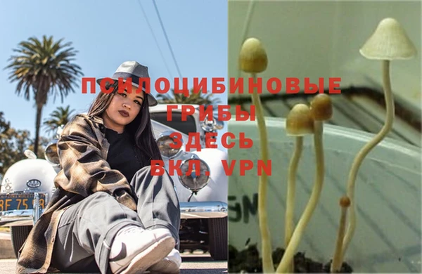 гашик Абдулино