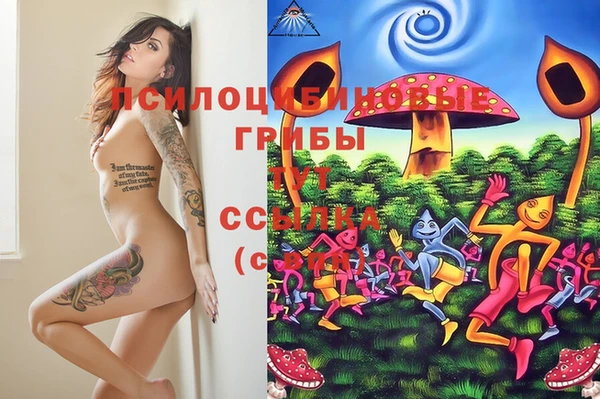 гашик Наволоки