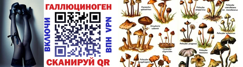 Псилоцибиновые грибы ЛСД blacksprut сайт Анадырь